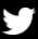 social icon